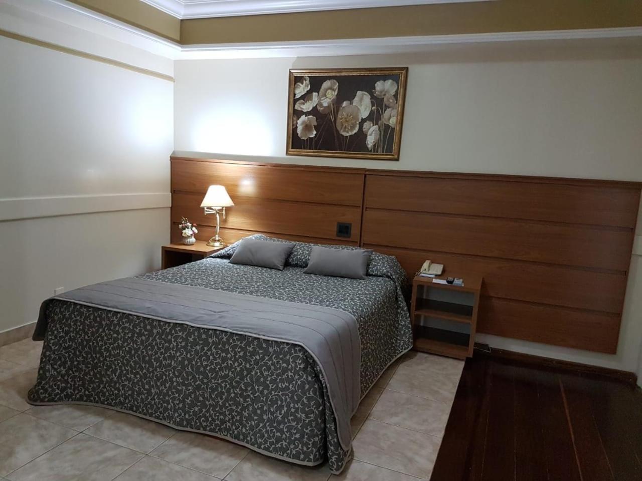 Tamareiras Park Hotel Убераба Экстерьер фото